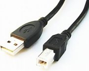 Gembird CCP-USB2-AMBM-6 USB cable 1.82 m USB A USB B Black_2