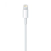 Apple Lightning to USB Cable (1В m)_3