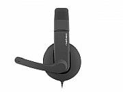 Natec Genesis Rhea Headset Head-band Black_3