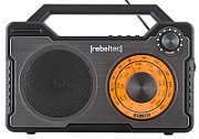 Rebeltec RODOS Portable Bluetooth player  radio FM 10W RMS_1