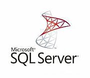 MS OVL SQL Core Lic/SA ADD 1Y1Y GOV [D]_2