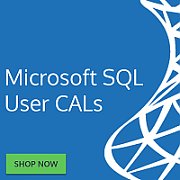 MS OVS SQL D-CAL Lic/SA Pk ADD 1Y [D]_1