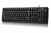 TASTATURA GENIUS USB, 104 taste, black, 