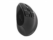 NATEC Wireless Mouse Euphonie 2400DPI black_1