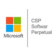 CSP Windows 11 Pro N Upgrade NP [P]_1