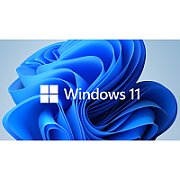 SW OEM GGK WIN 11 PRO 64B/ENG 1PK 4YR-00316 MS_1