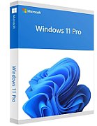 Windows Pro 11 PL Box 64bit USB_1