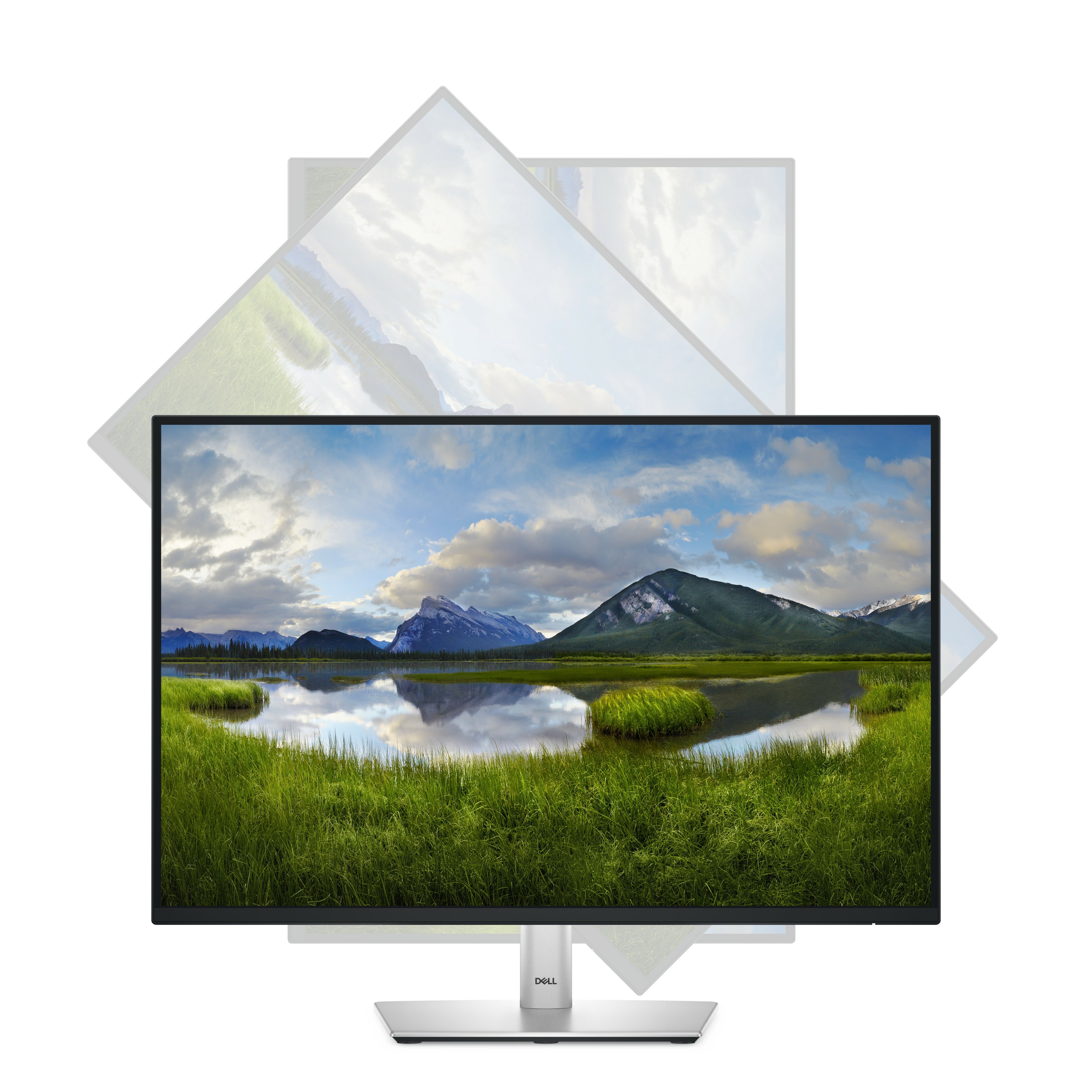 DELL 24 MONITOR - P2425/_11