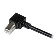 1M RIGHT ANGLE USB B CABLE/._4