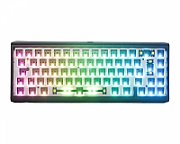 Ducky Tinker 65 Barebone Gaming Keyboard  RGB - black (ISO-DE)_1