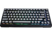 Ducky Tinker 75 Barebone Gaming Keyboard  RGB - black (ANSI)_1