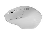 NATEC WIRELESS MOUSE SISKIN 2 BT 5.0 + 2.4GHZ_4