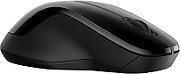 HP 250 Dual Mouse_4