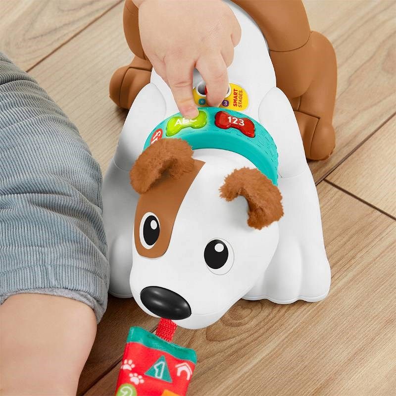 Fisher-Price Educational Dog Crawl With Me HHH15 MATTEL_3