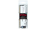 32GB DDR5 6000MT/S CL30 DIMM/FURY BEAST WHITE RGB EXPO_4