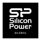 SILICON POWER COMPUTER & COMMUNICAT image