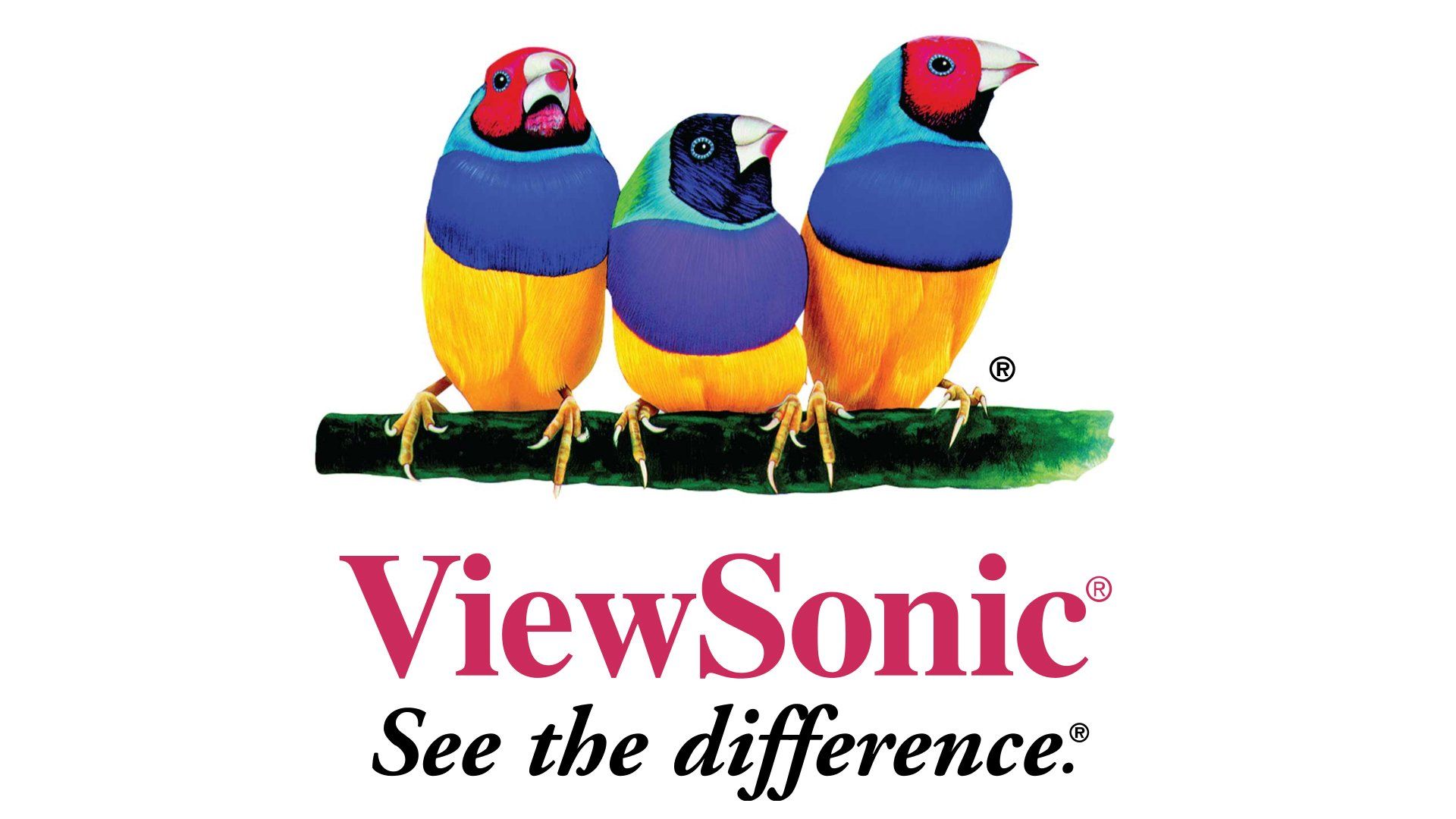 produse Viewsonic