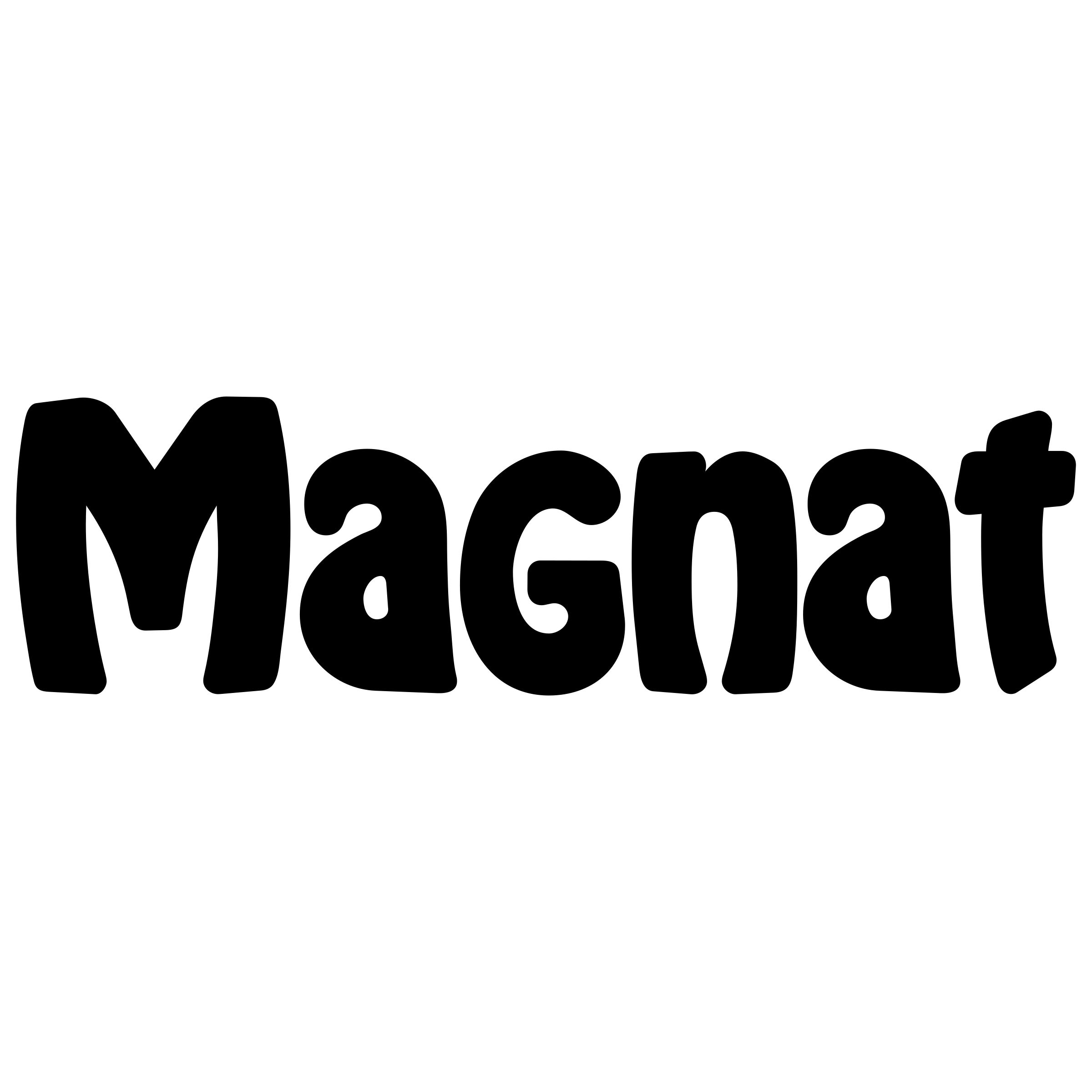 produse Magnat